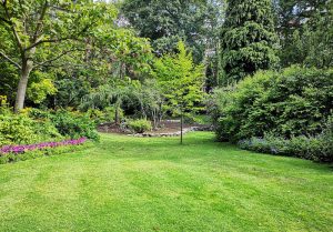 Optimiser l'expérience du jardin à Bois-Anzeray
